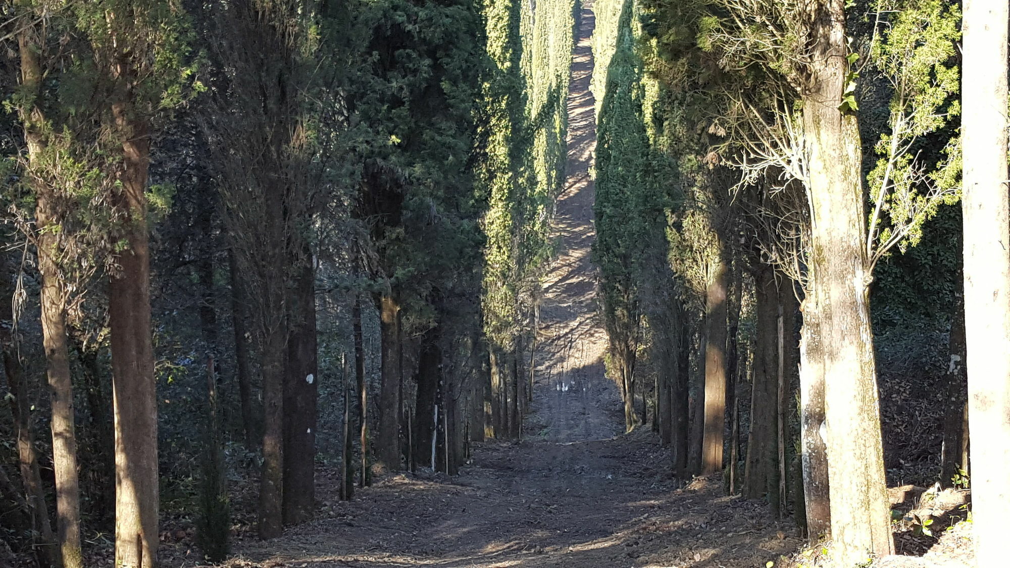 Farm House La Presura L'Ugolino Εξωτερικό φωτογραφία